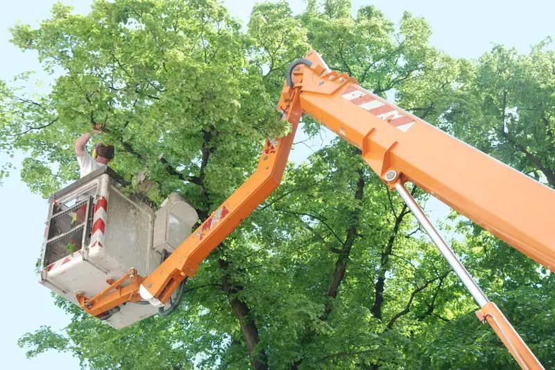 An orange bucket-truck boom raised into a full green canopy with a worker in the bucket